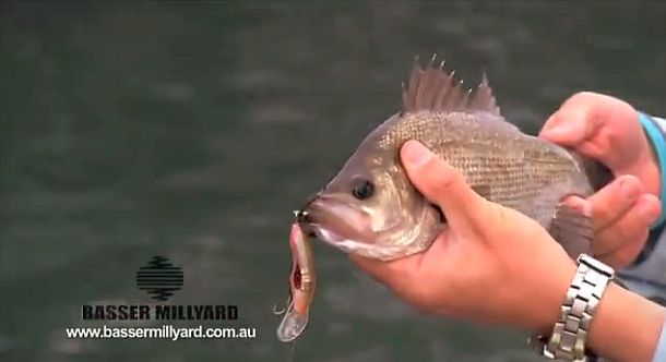 VIDEO: How to – Use small hard body estuary lures